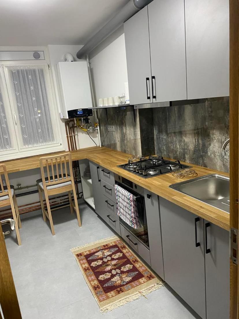 Apartament Ultracentral Botis Syhot Marmaroski Zewnętrze zdjęcie